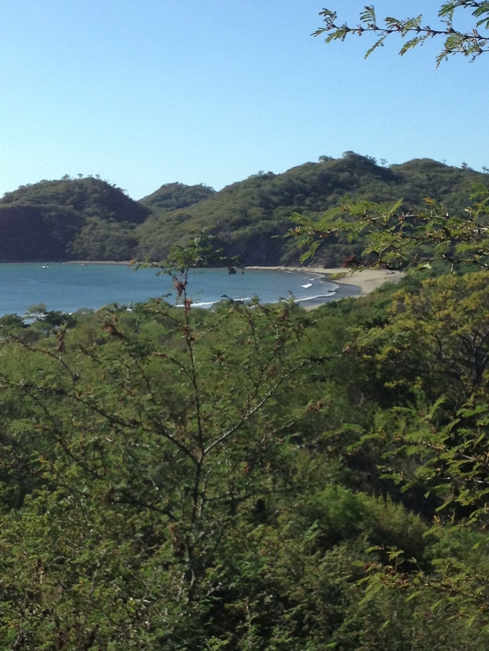 Crescent cove on the Ostional coastline