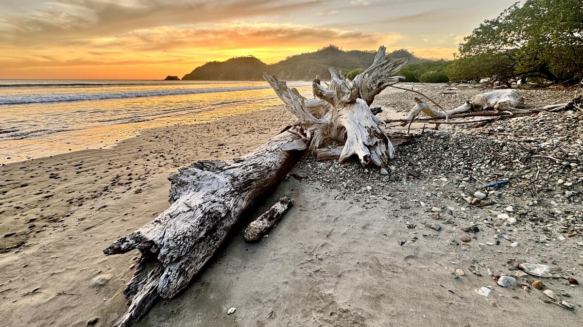 Playa El Ostional at sunset